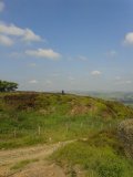 20130608_093702.jpg