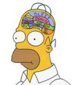 homer.jpg