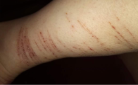 20171024_161833.png