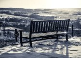 bench2.jpg