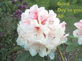 Good Day to you.jpg