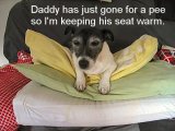 Daddy's place.jpg