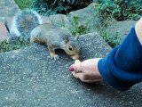 Ringo Feeding time .jpg