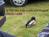Not the music for ducks..jpg