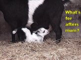 Feeding time 2.jpg