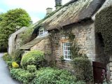 Baslow old thatch May .jpg