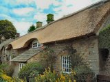 Baslow thatch 2 July  05  500.jpg