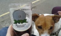 castleton beer.jpg