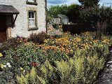 Cottage  garden  8 05.jpg