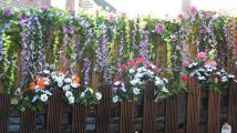 Front garden 2.jpg