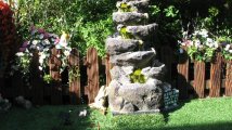 Front garden.jpg