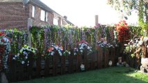 Front garden 1.jpg