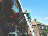 Watering the plants 5 04 500.jpg