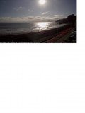 dawlish.jpg