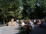 Chatsworth nursery 3 500 04.jpg