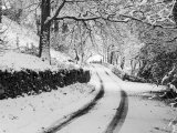 snowh.jpg
