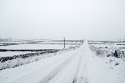 snow01.jpg