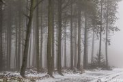 snow23.jpg
