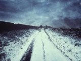 snow200.jpg