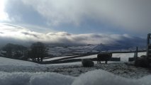 snow301.jpg