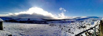 snow506.jpg