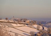 snow508.jpg