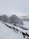 snow509.jpg