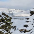 snow512.jpg
