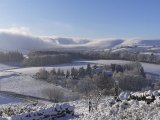snow513.jpg