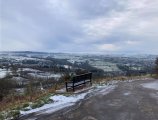 snow800.jpg