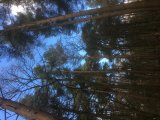 49305004-B187-4655-8FB6-8DB9815B5BC3.jpeg