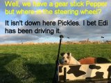 Pickles and Pepper.jpg