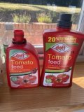 IMG_2608 2 Medium.jpeg