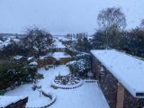 Snow.jpg