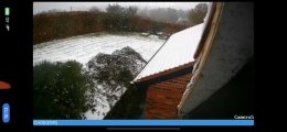 IMG_4436.jpeg