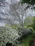 IMG_6897.jpeg