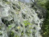 IMG_6898.jpeg
