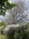 IMG_6894.jpeg