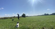 IMG_7533.jpeg