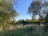 IMG_8861.jpeg