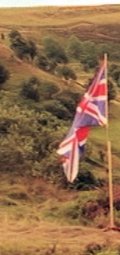 P2.jpg