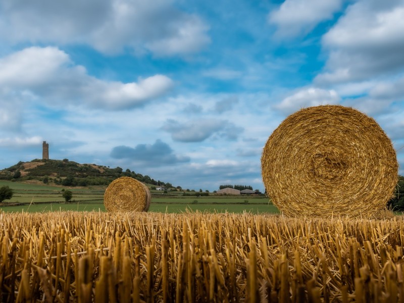 bales bales