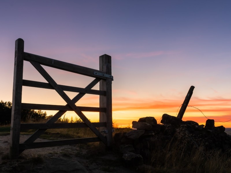 gate gate